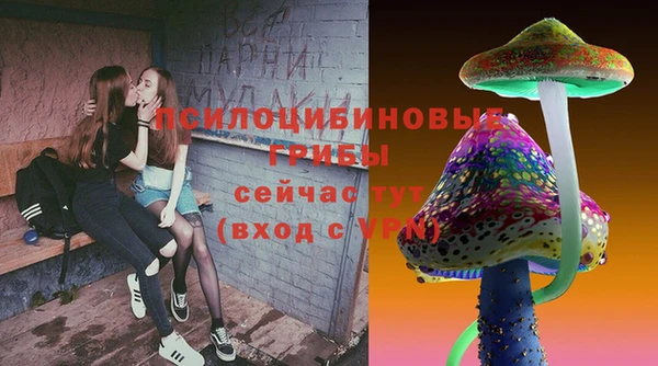 меф Белокуриха
